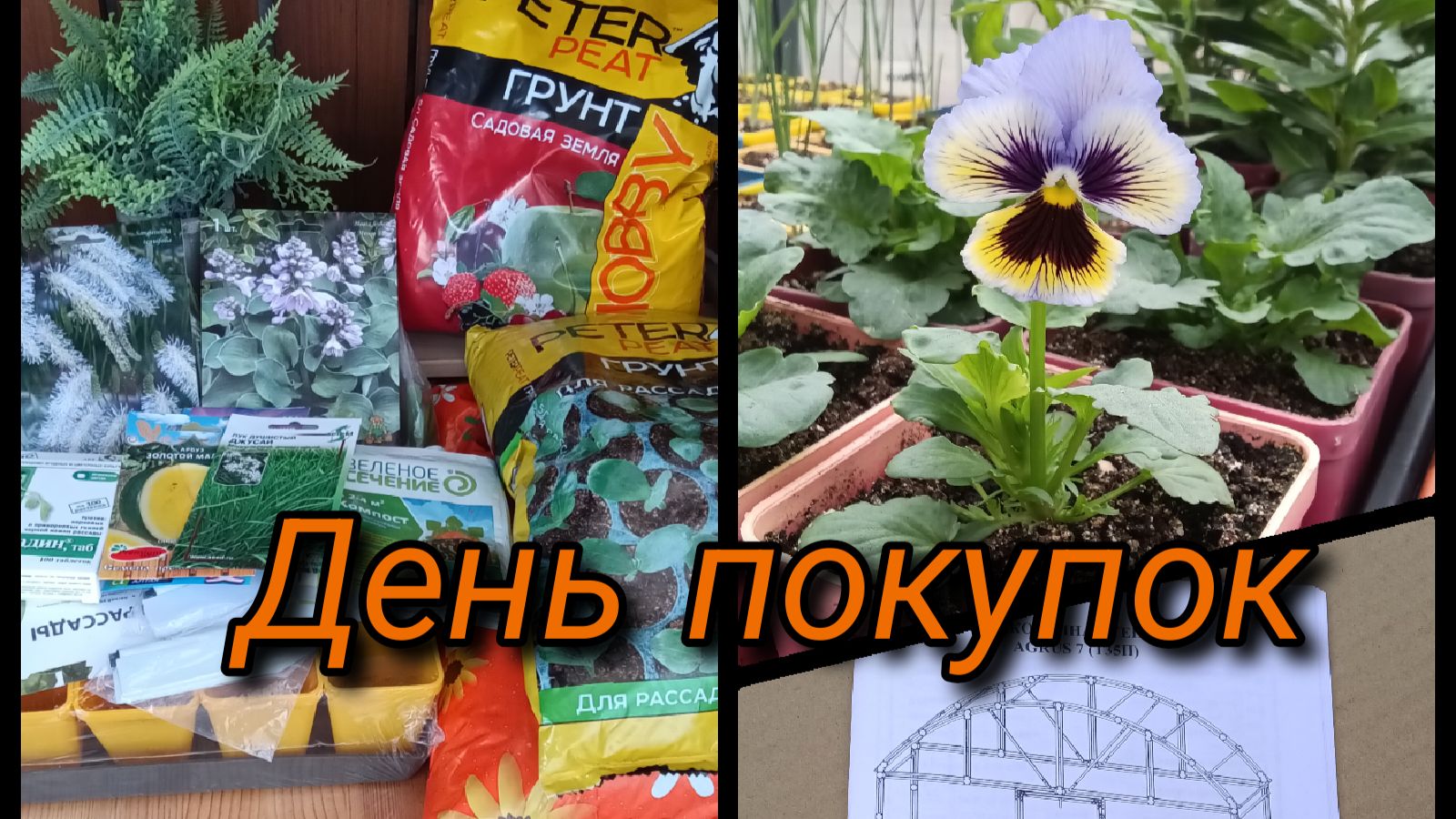 День покупок