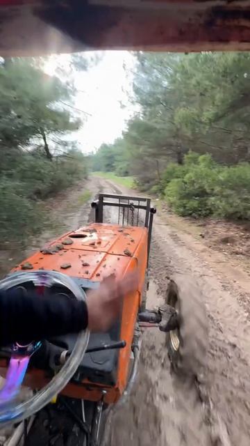 Смешные видео