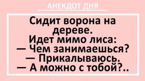 Сидит ворона на дереве...  | Анекдоты смешные | Юмор