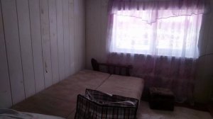 24 апреля.Высадила томаты.Все цветы съели.