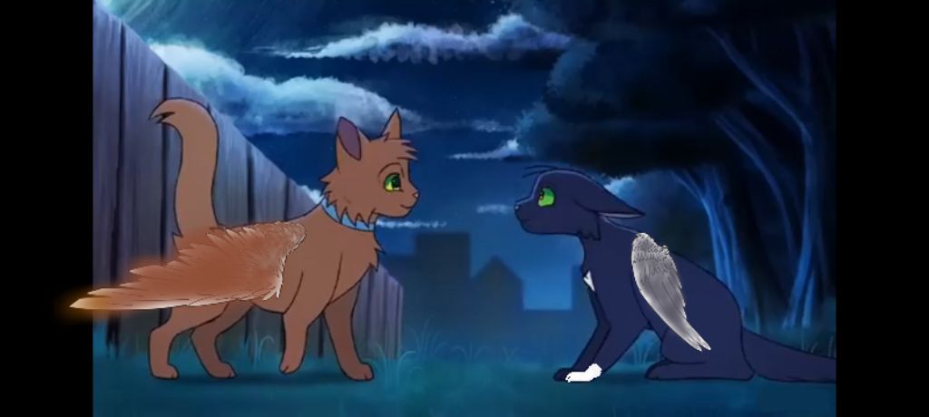 что мне снимать