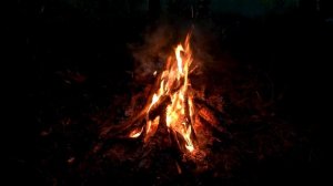 Костёр в лесу ночью 🔥 Расслабляющие звуки огня и треск горящих бревен для отдыха