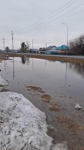 По весеннему тепло в сибири