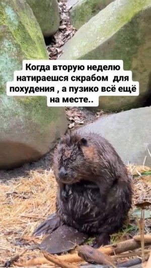 🙈🙈🙈