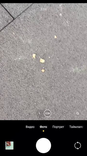 реал лайф...