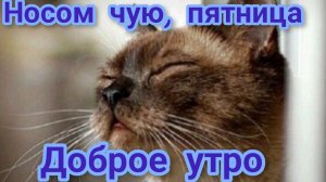 Доброе утро пятницы! Красивая музыкальная открытка.