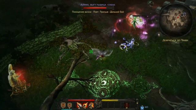 Victor Vran Boss №79 Айрин выгульщица собак