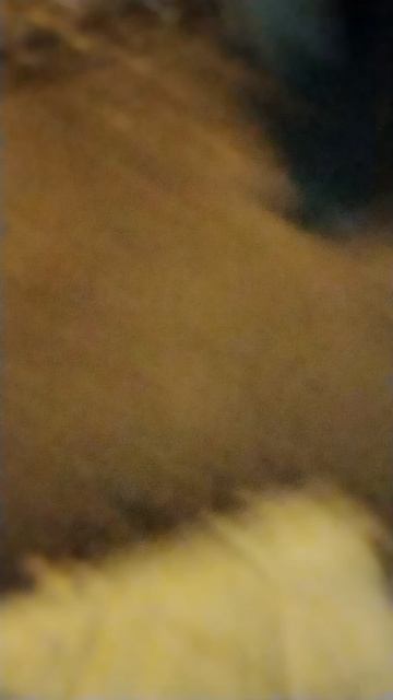 Увидел мышь!!! 🤣