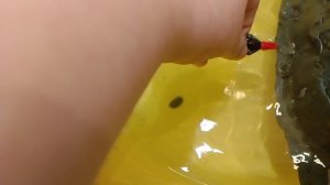 Потоп Титаника