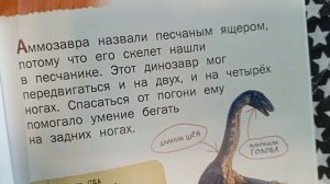 рассказываю про дерматозуха и аммозавра