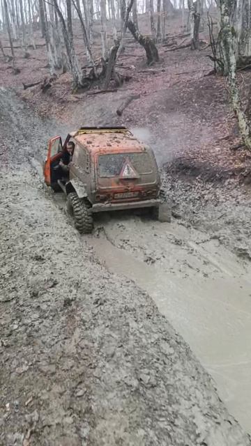 бойко нива на 38.5