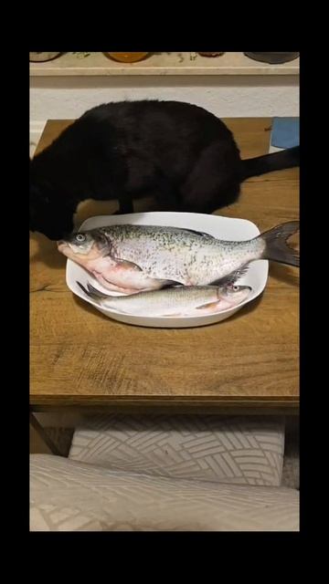 Первый улов.