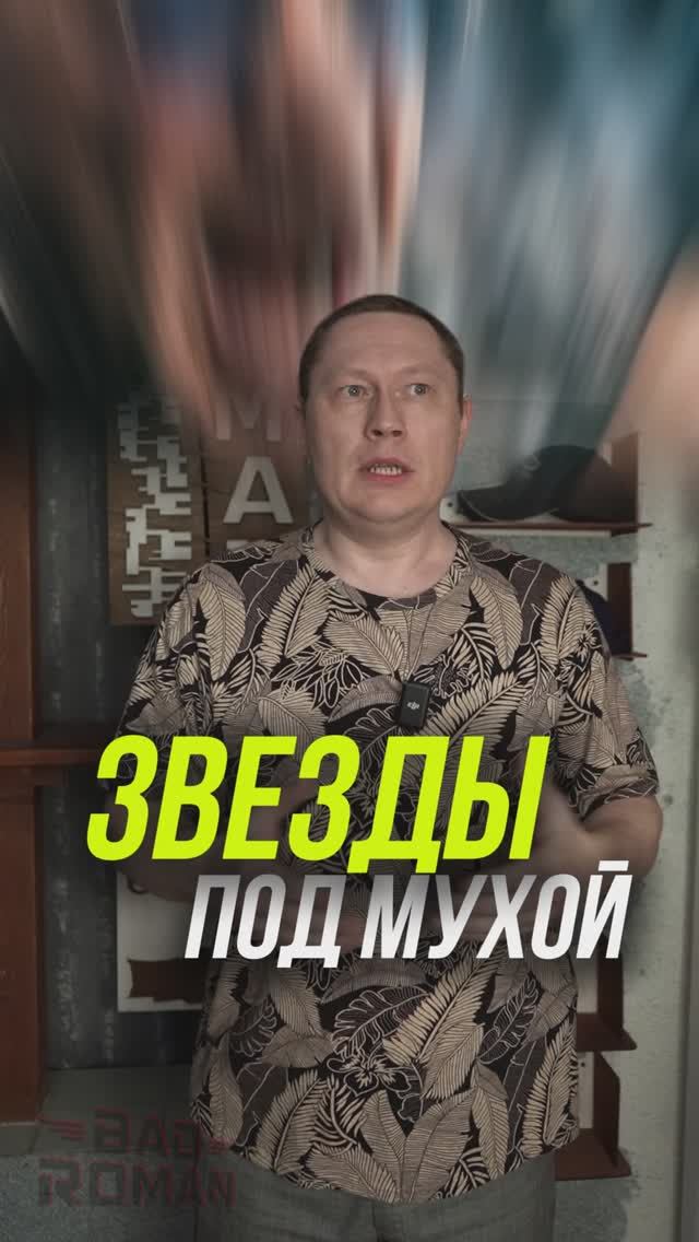 ЗВЕЗДЫ ПОД МУХОЙ