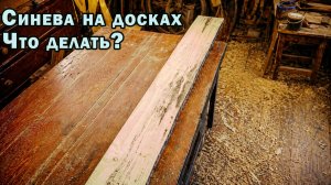Синева на досках - что делать?