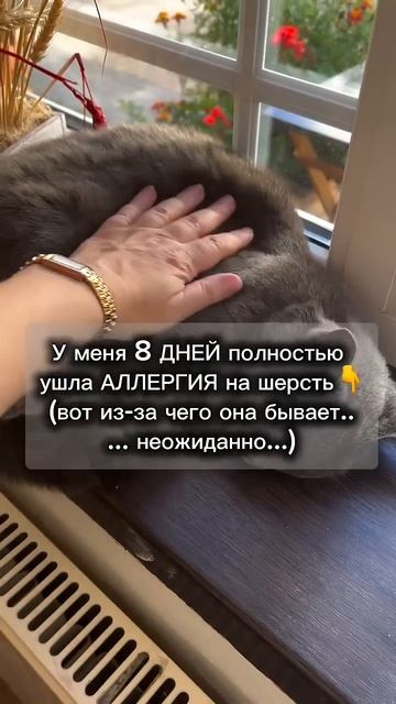 Аллергия на шерсть #германскаяноваямедицина #психология #гнм #психосоматика