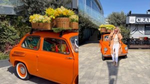 Влог из Сочи