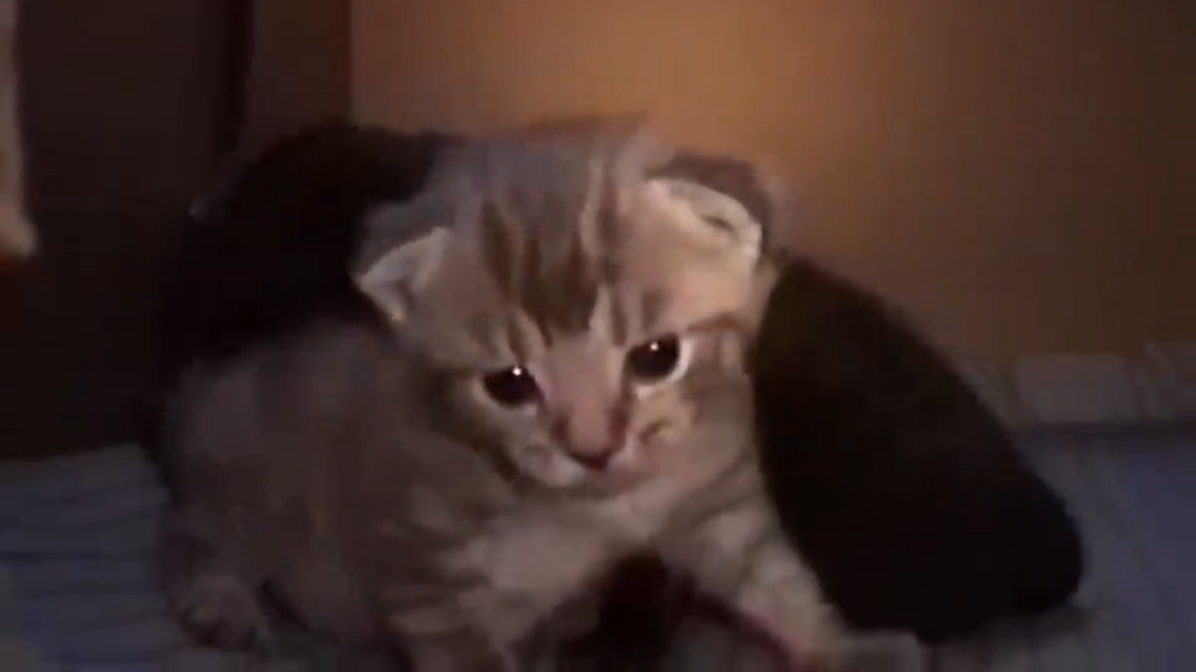 у тебя еще вся жизнь впереди