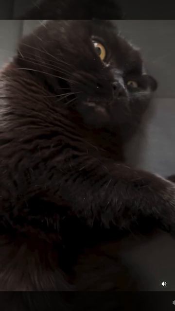 Главное правильно распределить время