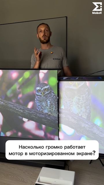 Насколько громко работает мотор в моторизированном экране?