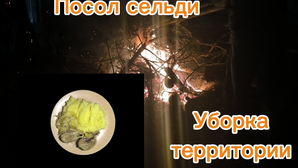Солю сельдь. Убираем территорию...ночью. вечерний променад