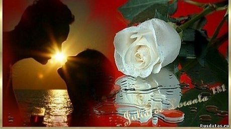 Гордая - Роза!  Вера Гарт  Премьера