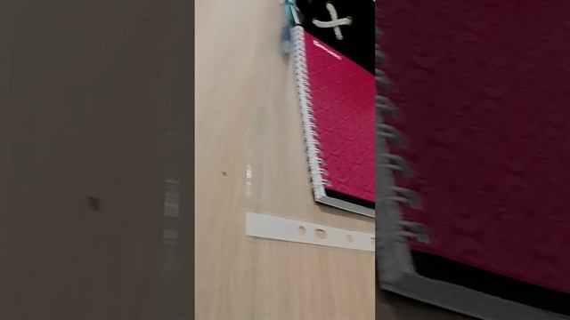 провела  окружающего мира проверяю русский язык классная работа