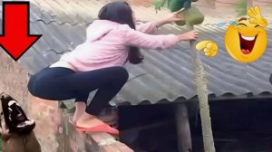 Топ 100 Самых Смешных Видео Всех Времен