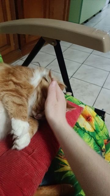 Не оторваться от него