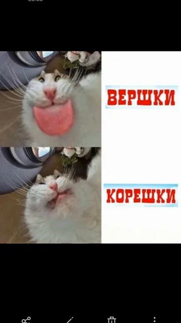 попробуйте не засмеяться