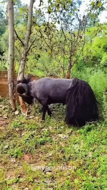 топ олдовский мемасик