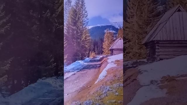 Послание оБезусловной Любви Агапе 8-14  С.Бенедикта