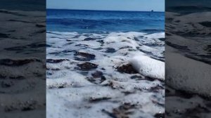 "Мин сине шундый сагындым "
Роза Ахунова