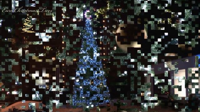 Ель_эталон_Троицк_СССР