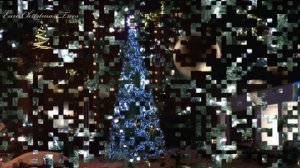 Ель_эталон_Троицк_СССР