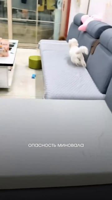 Я 6 лет сваливала это на воровство со стола!!!