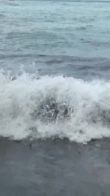 Власти Туапсе заявили, что 