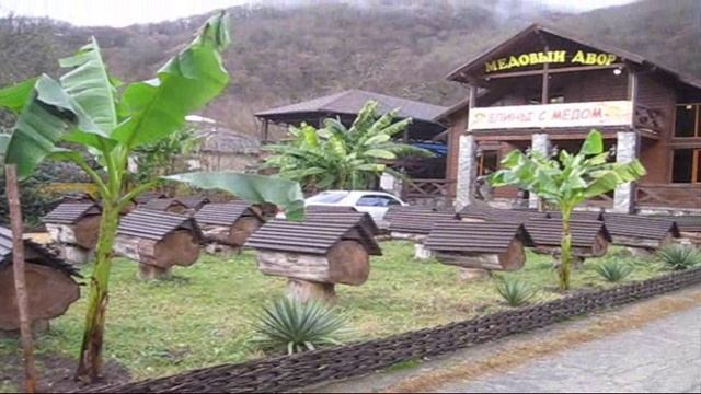 Абхазия Пасека