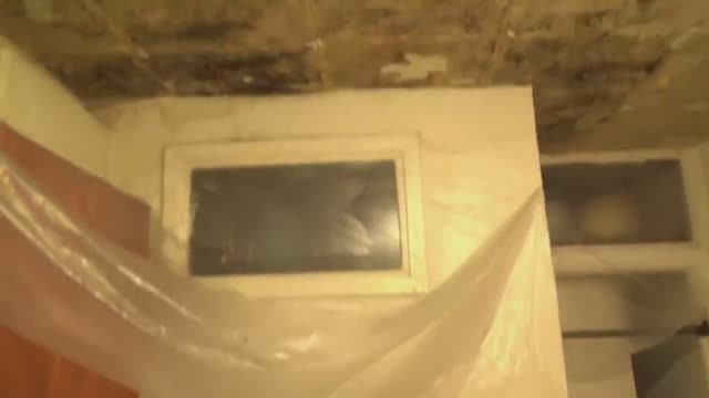 КАК ИЗБАВИТЬСЯ от ПЛЕСЕНИ на стенах НАВСЕГДА / бывшие хозяева наклеили обои на БУСТИЛАТ - это АД!