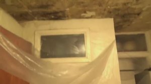 КАК ИЗБАВИТЬСЯ от ПЛЕСЕНИ на стенах НАВСЕГДА / бывшие хозяева наклеили обои на БУСТИЛАТ - это АД!