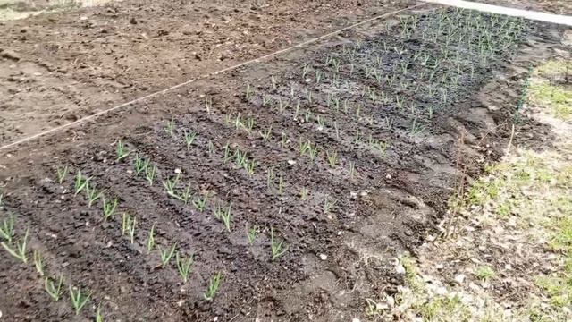 дела домашние 24 апреля