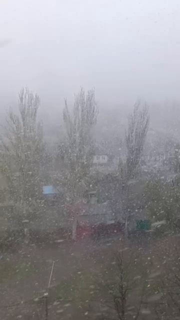 Метель в Харцызске сегодня