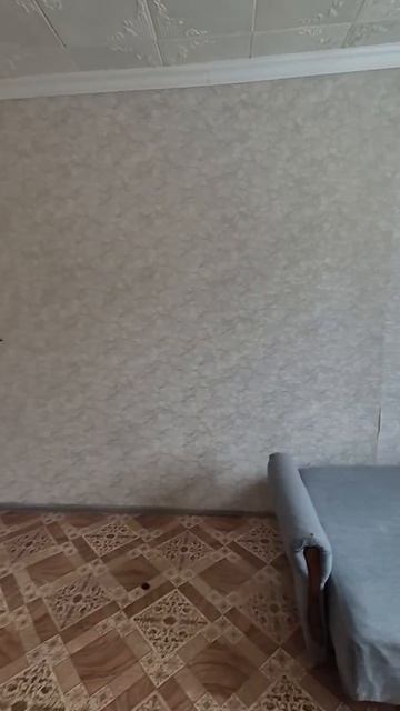 MOV_20260424_084427_711