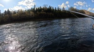 Ловим Ленка и отпускаем(мелкий)