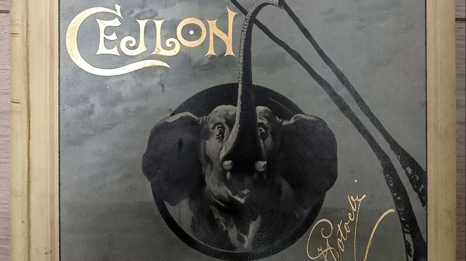 Notatki myśliwskie z dalekiego Wschodu. [T.] II: Cejlon. Warszawa. 1896