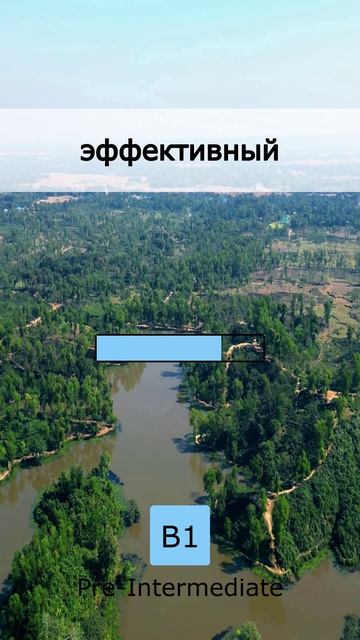 🧩 Челлендж дня: Выучи 5 слов B1 (10 May 2026)