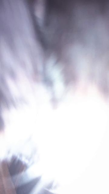 Куда делись все наши покупки? Расследование 