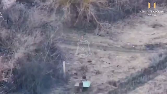 Кадры освобождения Верхней Писаревки в Харьковской области