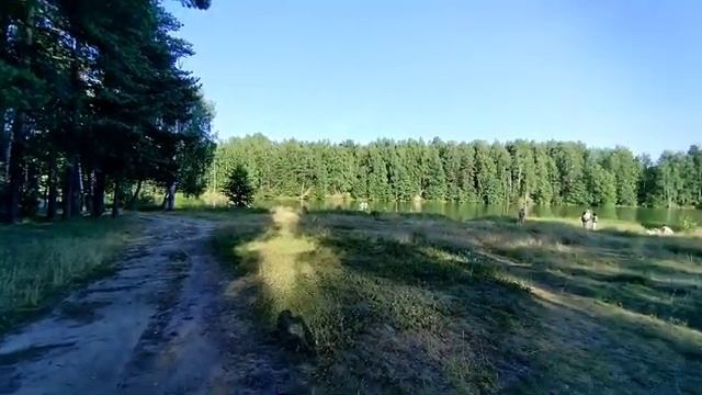 Влог Прогулка по парку