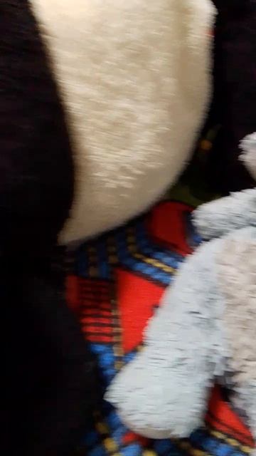 тиг и слон в кафе