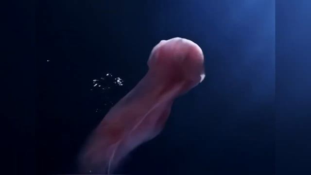 Реклама Hotpoint Ariston 2006